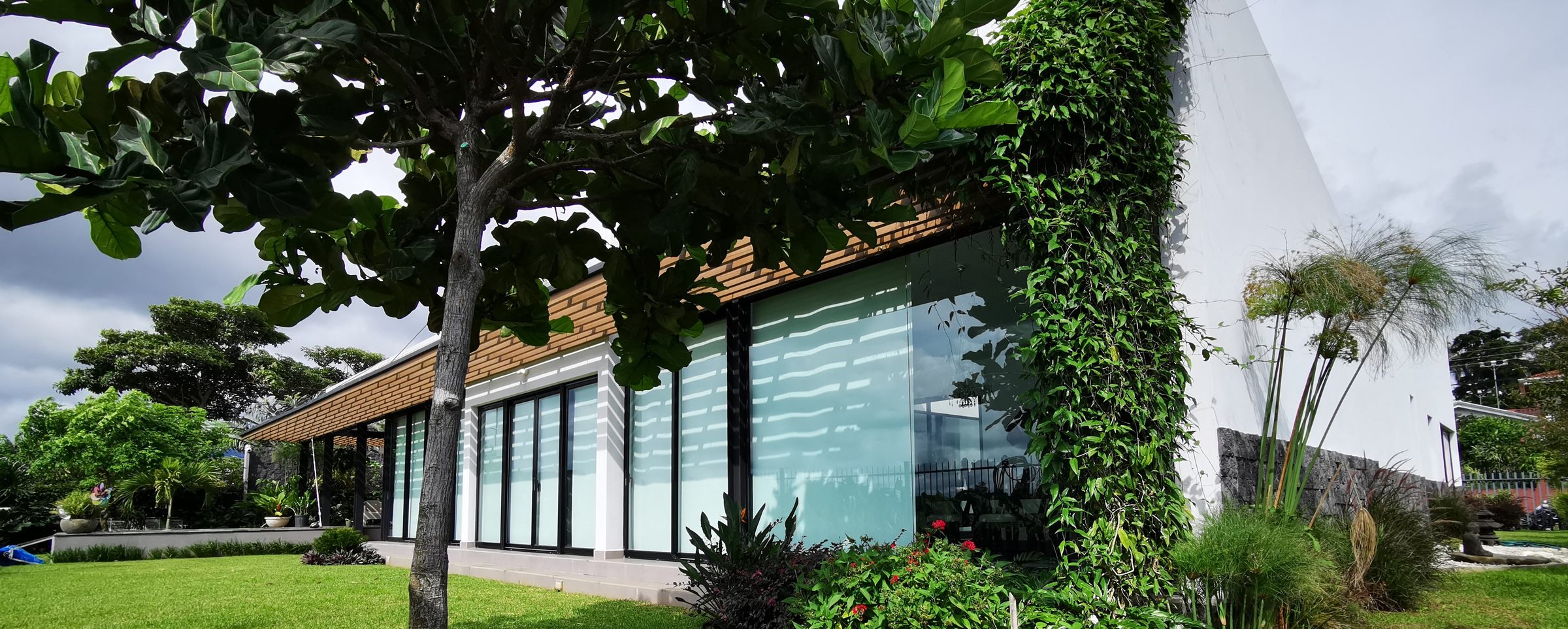 Edificio moderno con fachada de vidrio y muro verde